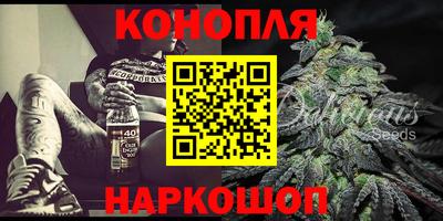 a pvp Славгород