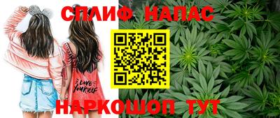 каннабис Сланцы