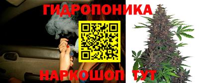 каннабис Сланцы