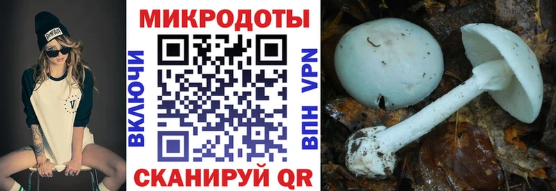 Галлюциногенные грибы MAGIC MUSHROOMS  Армавир 