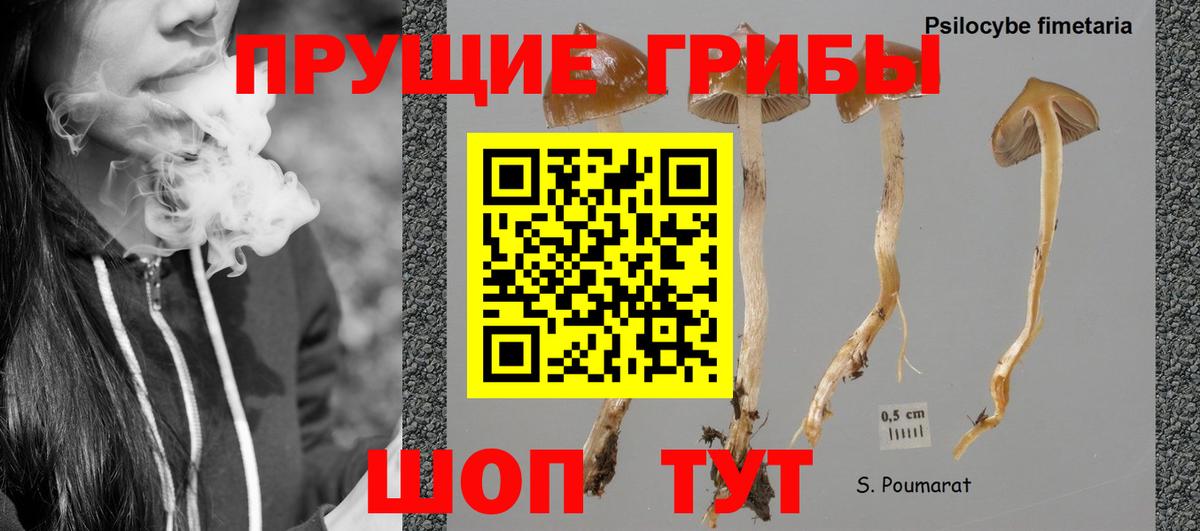 Галлюциногенные грибы прущие грибы Армавир